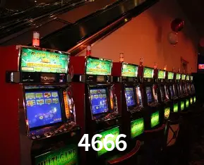 Flash Promotion 4666